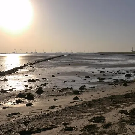 Ant Diek I Apartmán